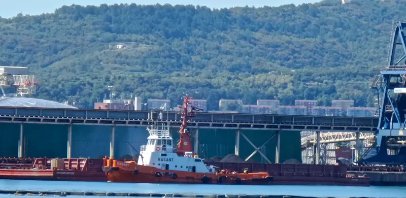 RASANT General Cargo IMO 7349821 photo 9