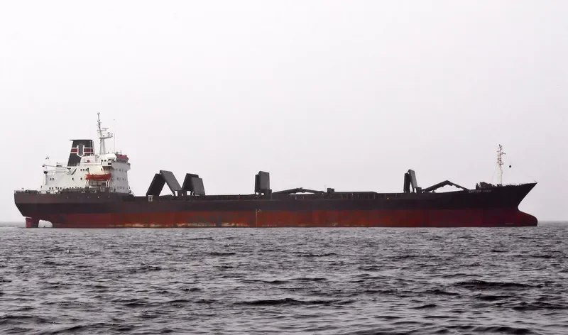 CAPTAIN EGLIO Bulk Carrier IMO 7349883 photo 2