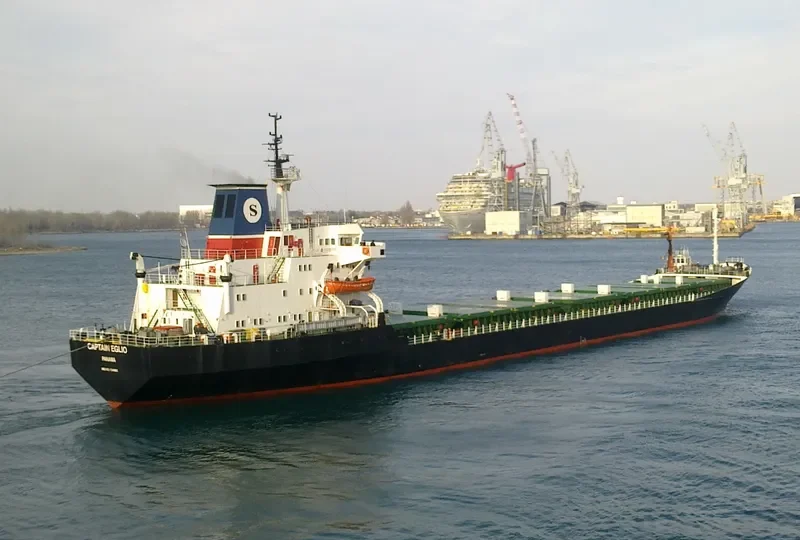 CAPTAIN EGLIO Bulk Carrier IMO 7349883 photo 4