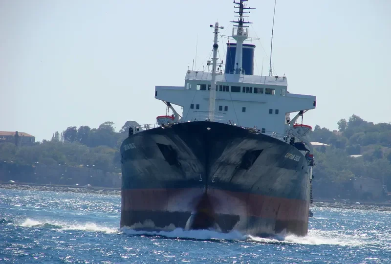CAPTAIN EGLIO Bulk Carrier IMO 7349883 photo 5