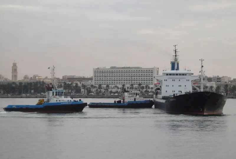 CAPTAIN EGLIO Bulk Carrier IMO 7349883 photo 7