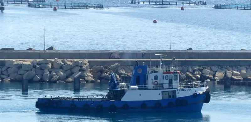 LEDRA ENA Tug Boat IMO 7350363