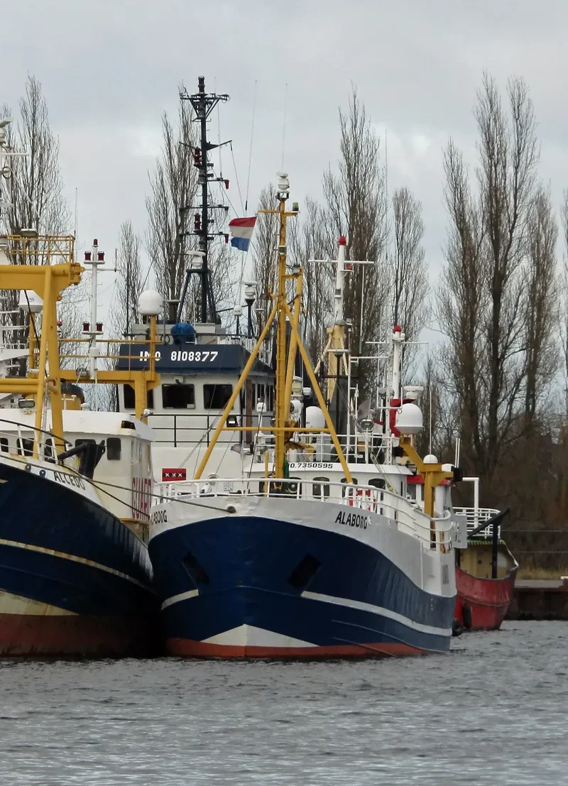 ALABORG GUARD Standby-Safety Vessel IMO 7350595 photo 2