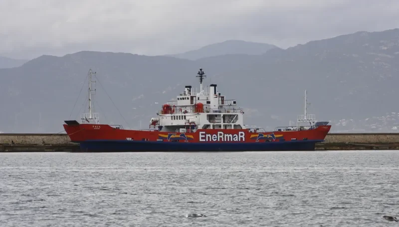 PACE Ro-Ro IMO 7351032 photo 5