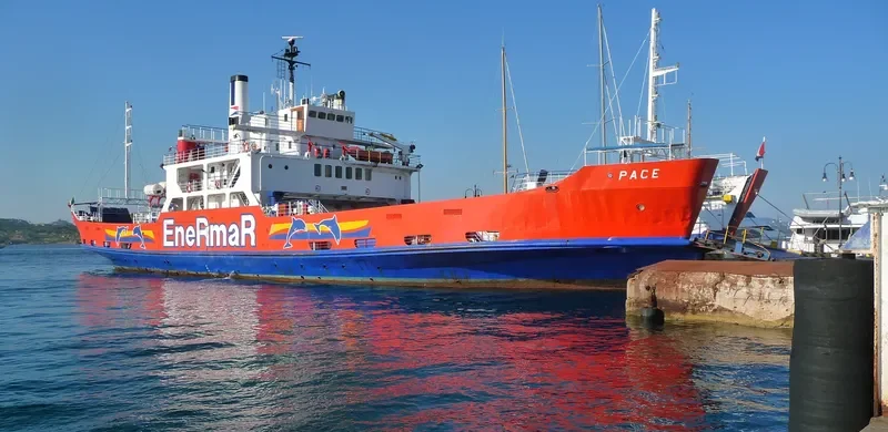 PACE Ro-Ro IMO 7351032 photo 6