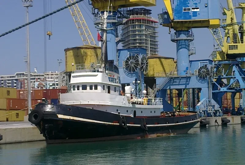 LION General Cargo IMO 7351068