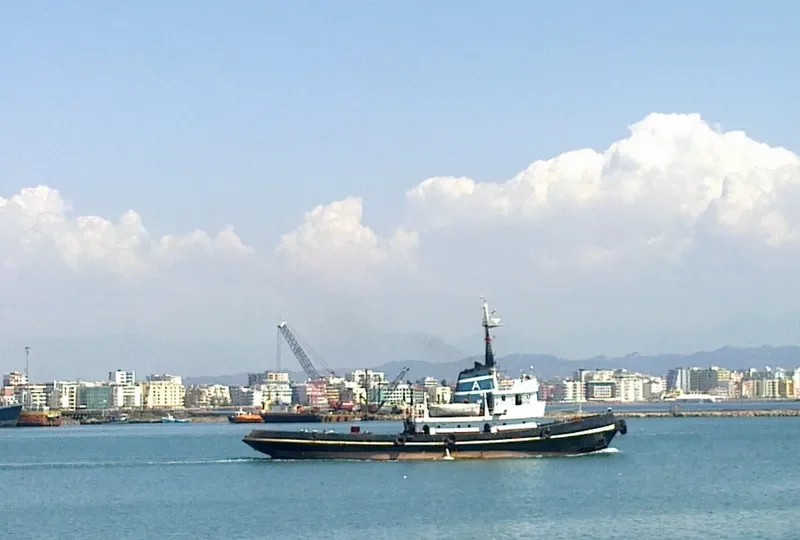 LION General Cargo IMO 7351068 photo 2