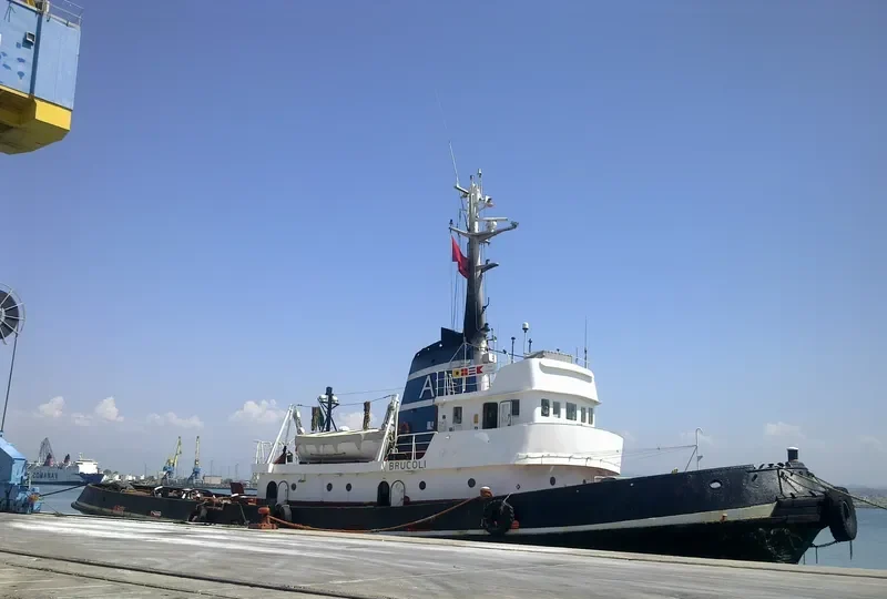 LION General Cargo IMO 7351068 photo 3