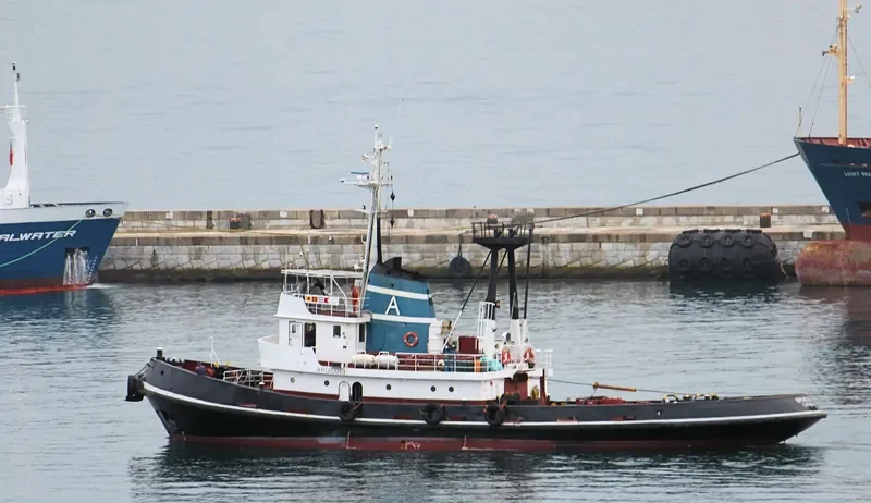 LION General Cargo IMO 7351068 photo 5