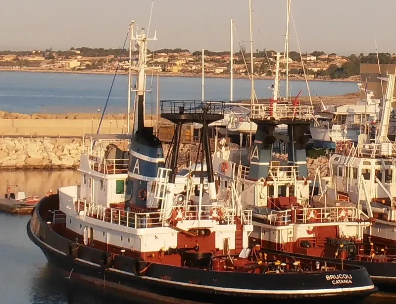 LION General Cargo IMO 7351068 photo 6