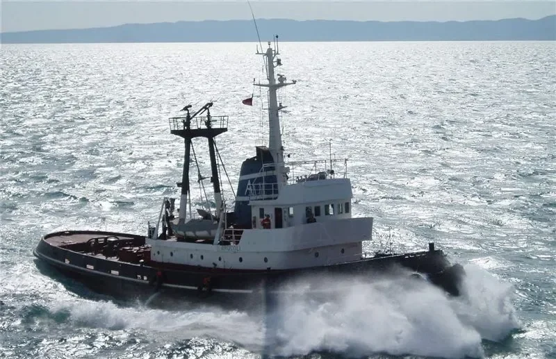 LION General Cargo IMO 7351068 photo 7