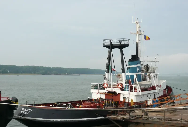 LION General Cargo IMO 7351068 photo 8