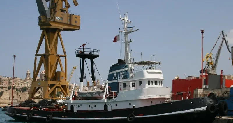 LION General Cargo IMO 7351068 photo 9