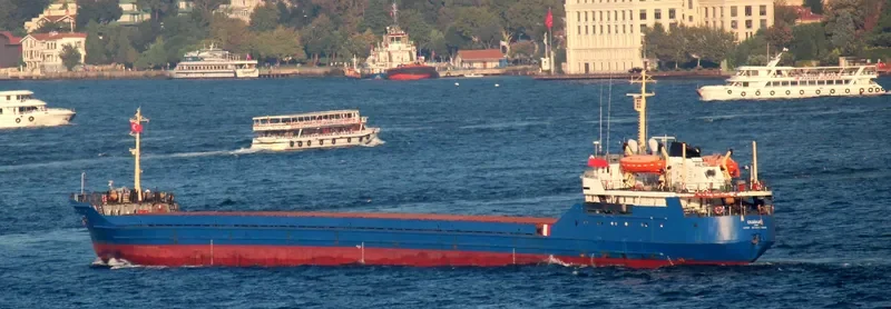 SKYLARK Bulk Carrier IMO 7352505
