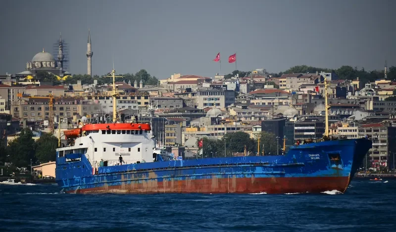 SKYLARK Bulk Carrier IMO 7352505 photo 4