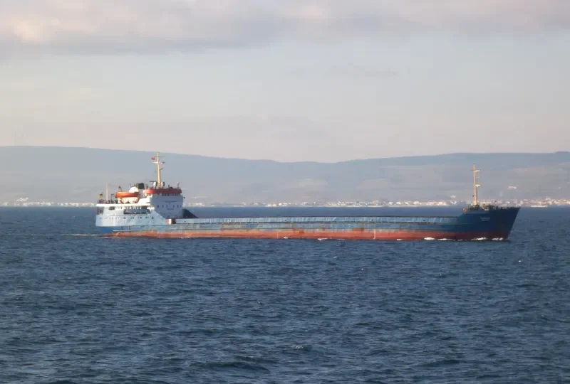 SKYLARK Bulk Carrier IMO 7352505 photo 9