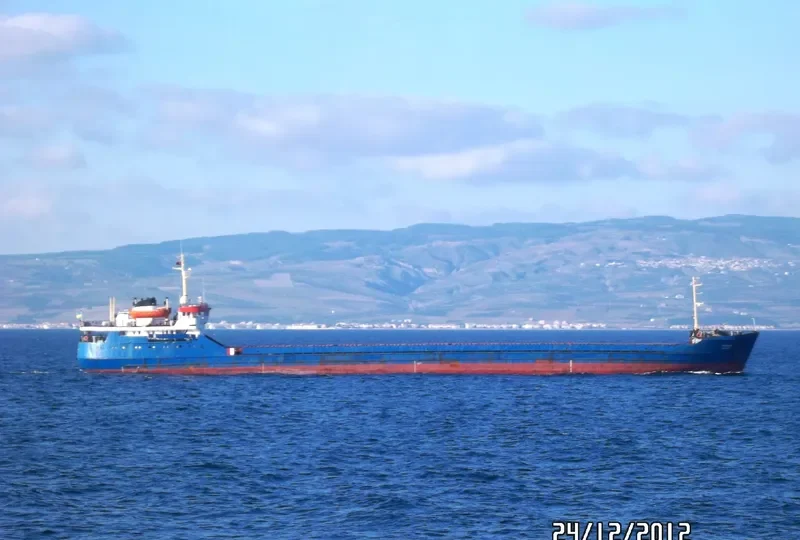 SKYLARK Bulk Carrier IMO 7352505 photo 10