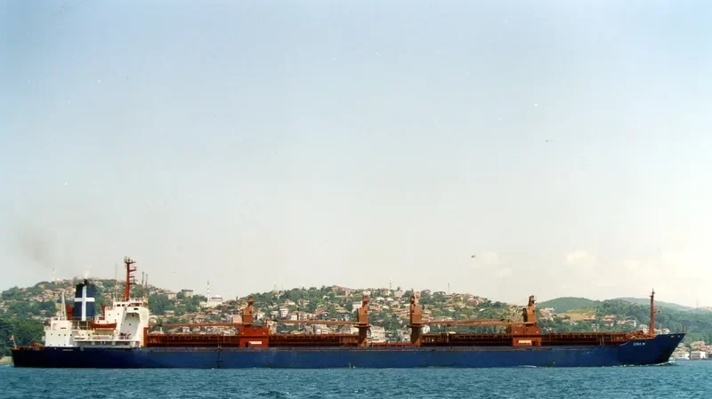HWALEE Bulk Carrier IMO 7353092