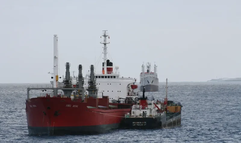 ALAA Y Bulk Carrier IMO 7353614