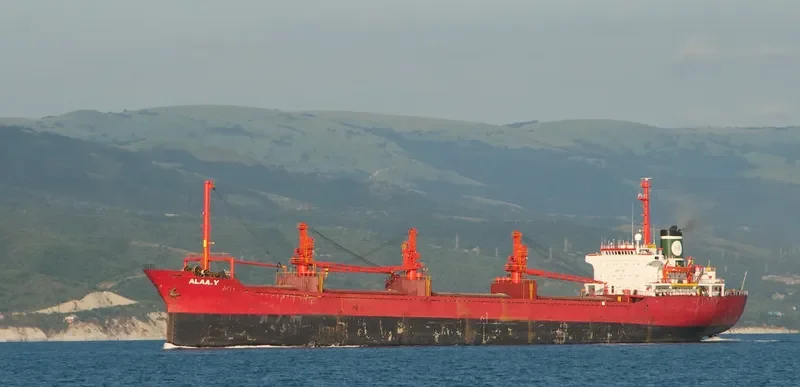 ALAA Y Bulk Carrier IMO 7353614 photo 2