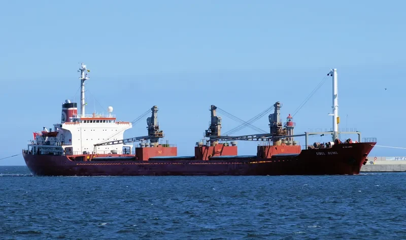 ALAA Y Bulk Carrier IMO 7353614 photo 4