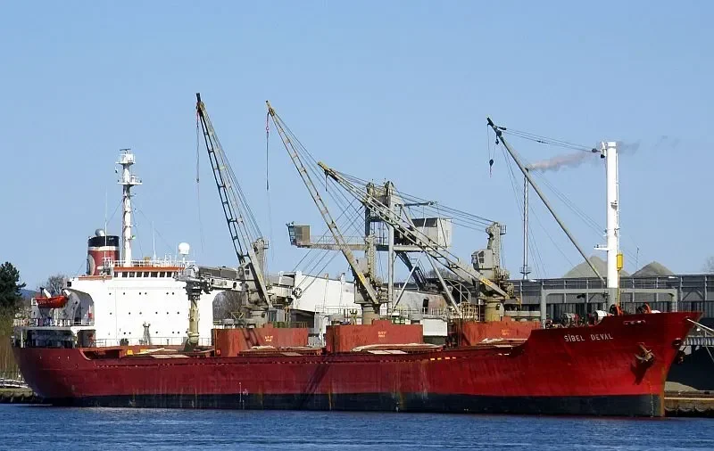 ALAA Y Bulk Carrier IMO 7353614 photo 6