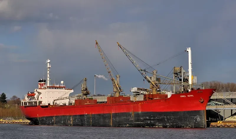 ALAA Y Bulk Carrier IMO 7353614 photo 7