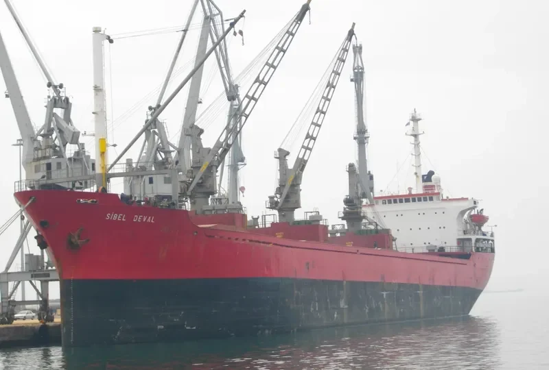 ALAA Y Bulk Carrier IMO 7353614 photo 10