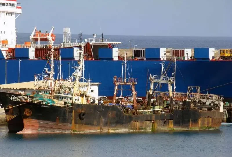 NO.515 AMAPOLA General Cargo IMO 7355492