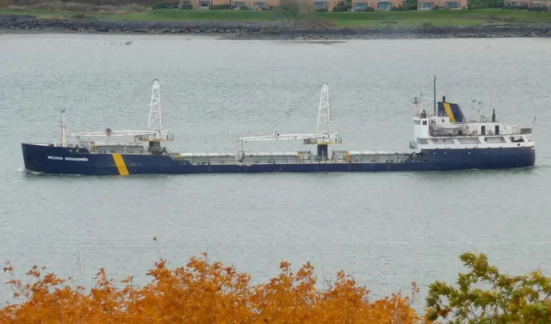 ETHAN General Cargo IMO 7356501
