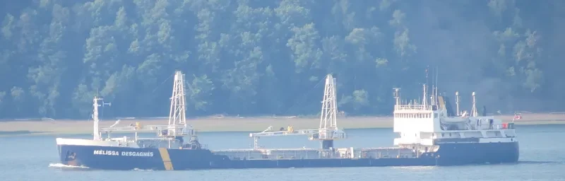 ETHAN General Cargo IMO 7356501 photo 10