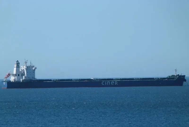 ORDU Bulk Carrier IMO 7356604