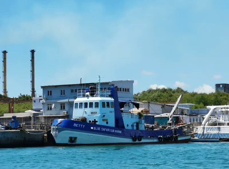 BETTY DES MASCAREIGNES Tug Boat IMO 7356977 photo 10