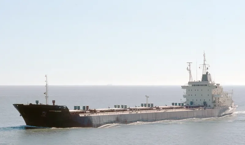 ASTRAVALENTINA Bulk Carrier IMO 7357309 photo 2