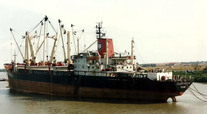 GOLDEN FUTURE General Cargo IMO 7357880