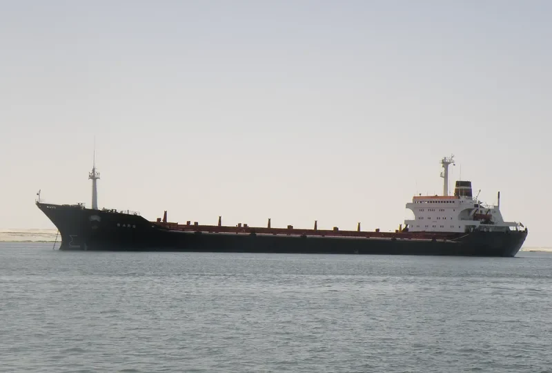 BARS Bulk Carrier IMO 7358080 photo 2