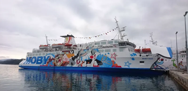 MOBY KISS Ro-Ro IMO 7358755 photo 6
