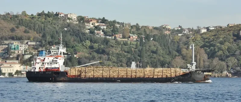 SUN LIGHT General Cargo IMO 7359125 photo 5