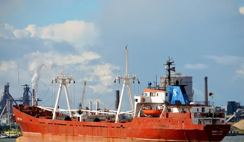 SUNNY LISA General Cargo IMO 7359278 photo 2