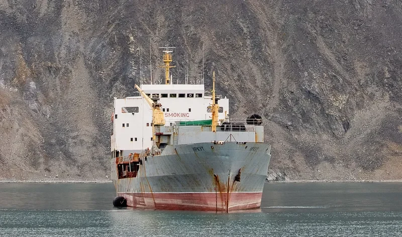 IRKUT General Cargo IMO 7359321 photo 3