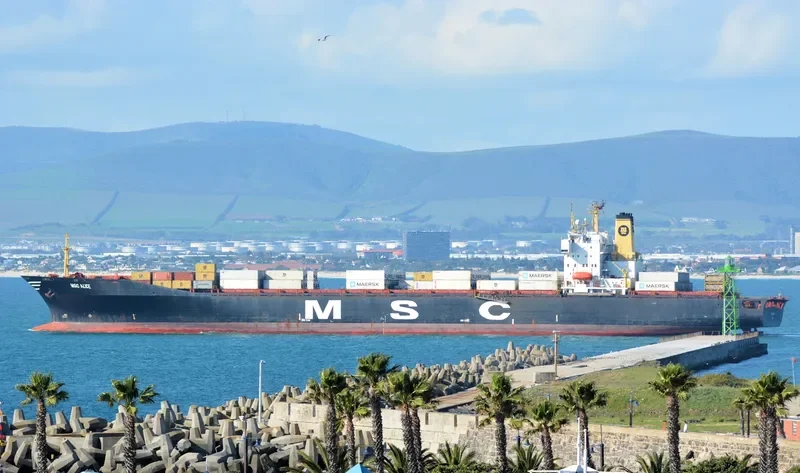MSC ALICE Container Ship IMO 7359852 photo 2