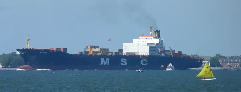 MSC ALICE Container Ship IMO 7359852 photo 3