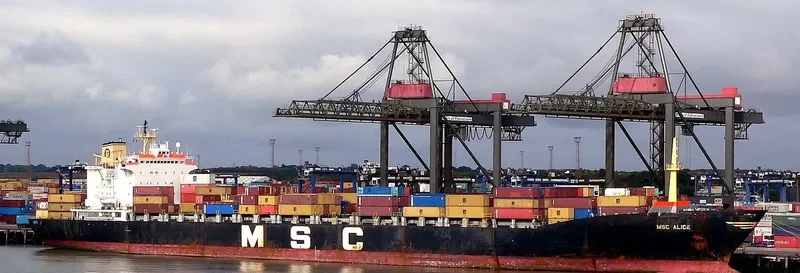 MSC ALICE Container Ship IMO 7359852 photo 4