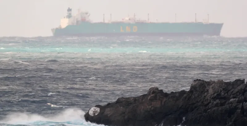 WEST ENERGY General Cargo IMO 7360124 photo 7