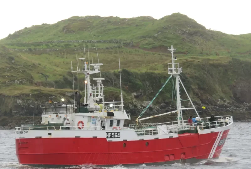 PESORSA DOS General Cargo IMO 7360930 photo 2