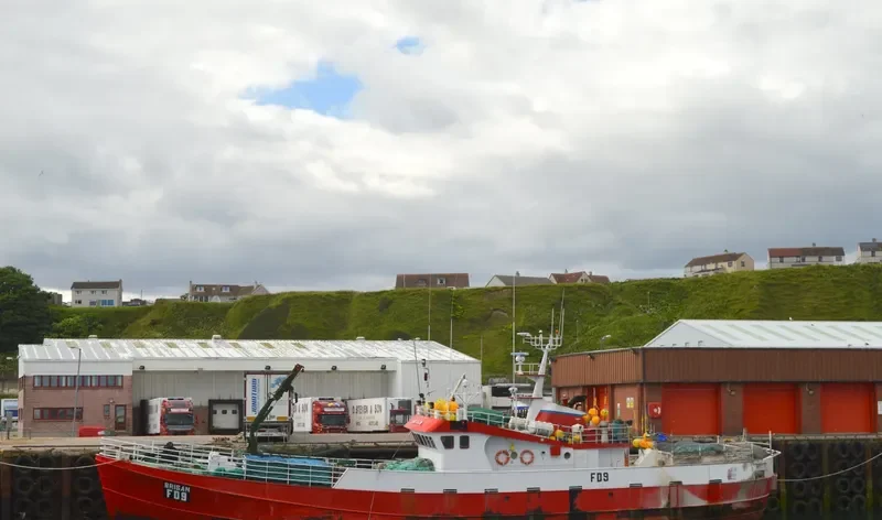 PESORSA DOS General Cargo IMO 7360930 photo 6