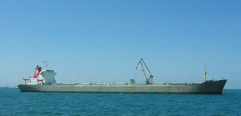 SVYATAYA MARIYA Bulk Carrier IMO 7361128 photo 2