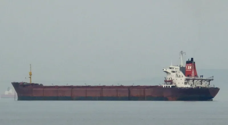 SVYATAYA MARIYA Bulk Carrier IMO 7361128 photo 3
