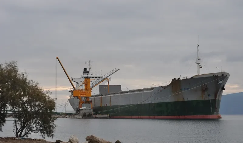 MINOS Bulk Carrier IMO 7361142 photo 4