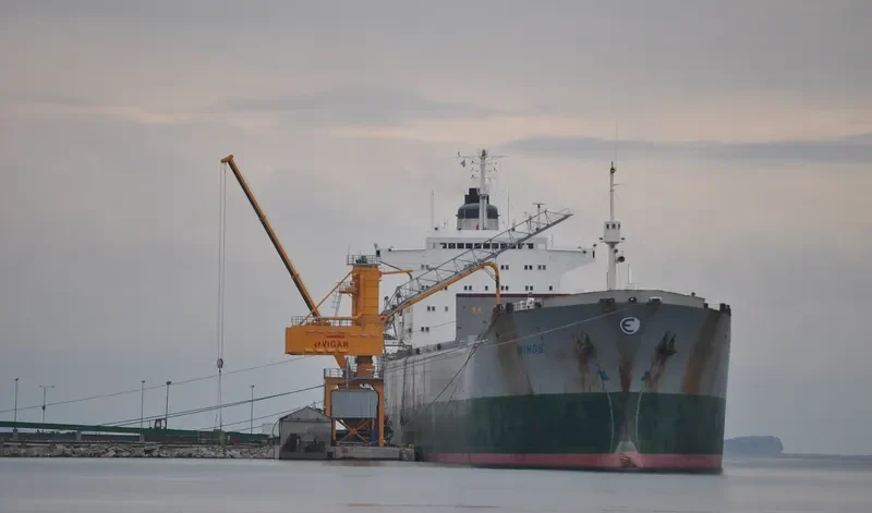 MINOS Bulk Carrier IMO 7361142 photo 5